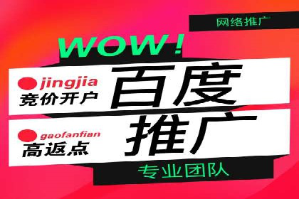 百度竞价代运营助力企业实现业绩突破案例